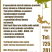 Výškové práce - ořezy stromů a riziková kácení 1